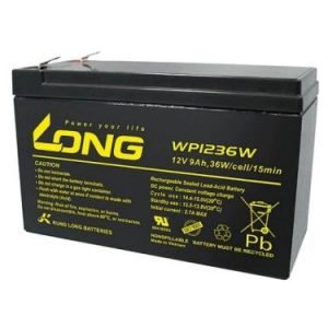 ẮC QUY KÍN KHÍ (VRLA AGM) LONG 12V-9Ah, WP1236W F2
