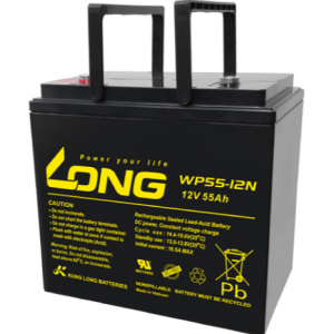 ẮC QUY KÍN KHÍ (VRLA AGM) LONG 12V-55Ah, WP55-12N