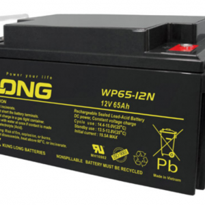 ẮC QUY KÍN KHÍ (VRLA AGM) LONG 12V-65Ah, WP65-12N