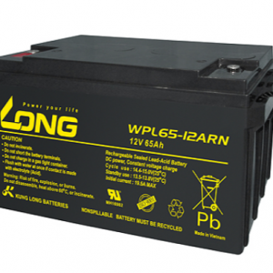 ẮC QUY KÍN KHÍ (VRLA AGM) LONG 12V-65Ah, WPL65-12ARN